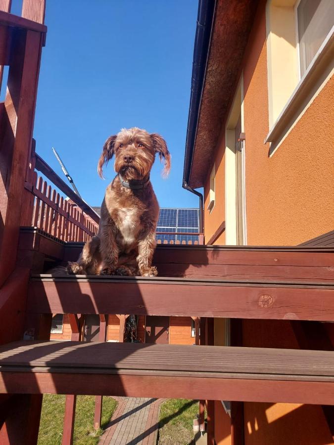 Siedlisko Na Zaciszu Apartamenty Kąty Rybackie Exteriör bild